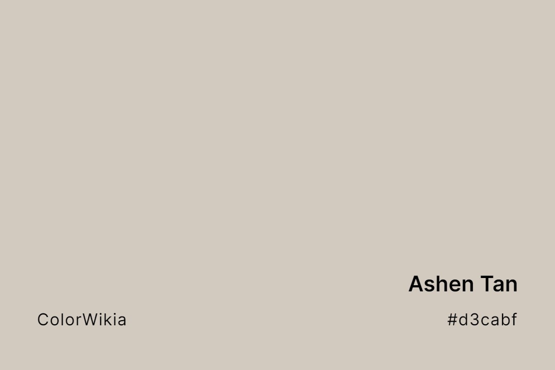 Ashen Tan Color – #d3cabf: Codes and Complete Breakdown