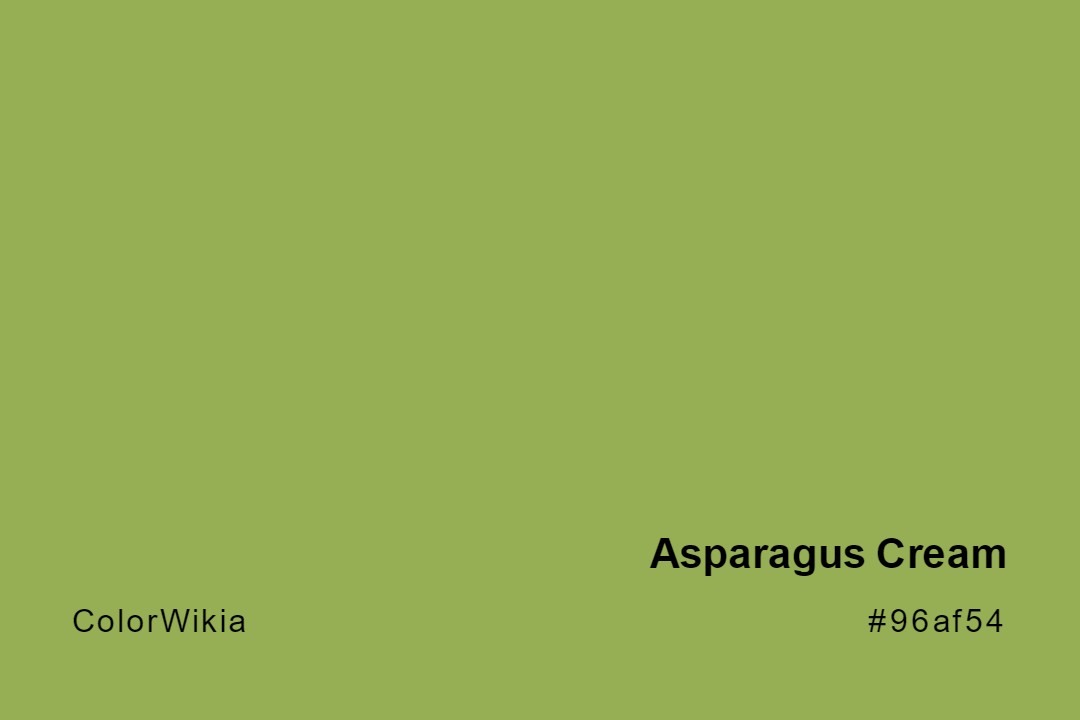 Asparagus Cream Color – #96af54: Codes and Complete Breakdown