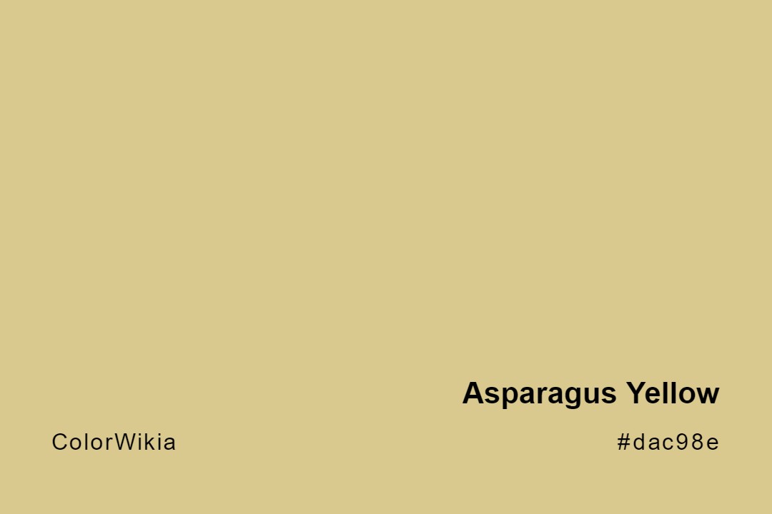 Asparagus Yellow Color – #dac98e: Codes and Complete Breakdown