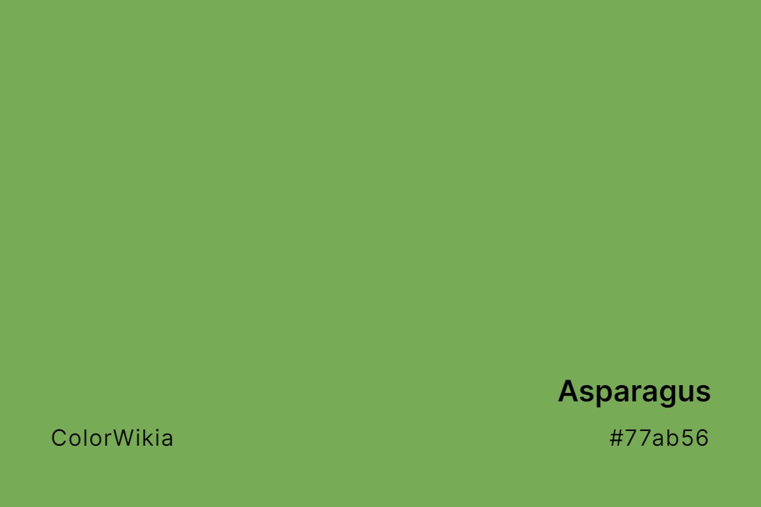 Asparagus Color – #77ab56: Codes and Complete Breakdown