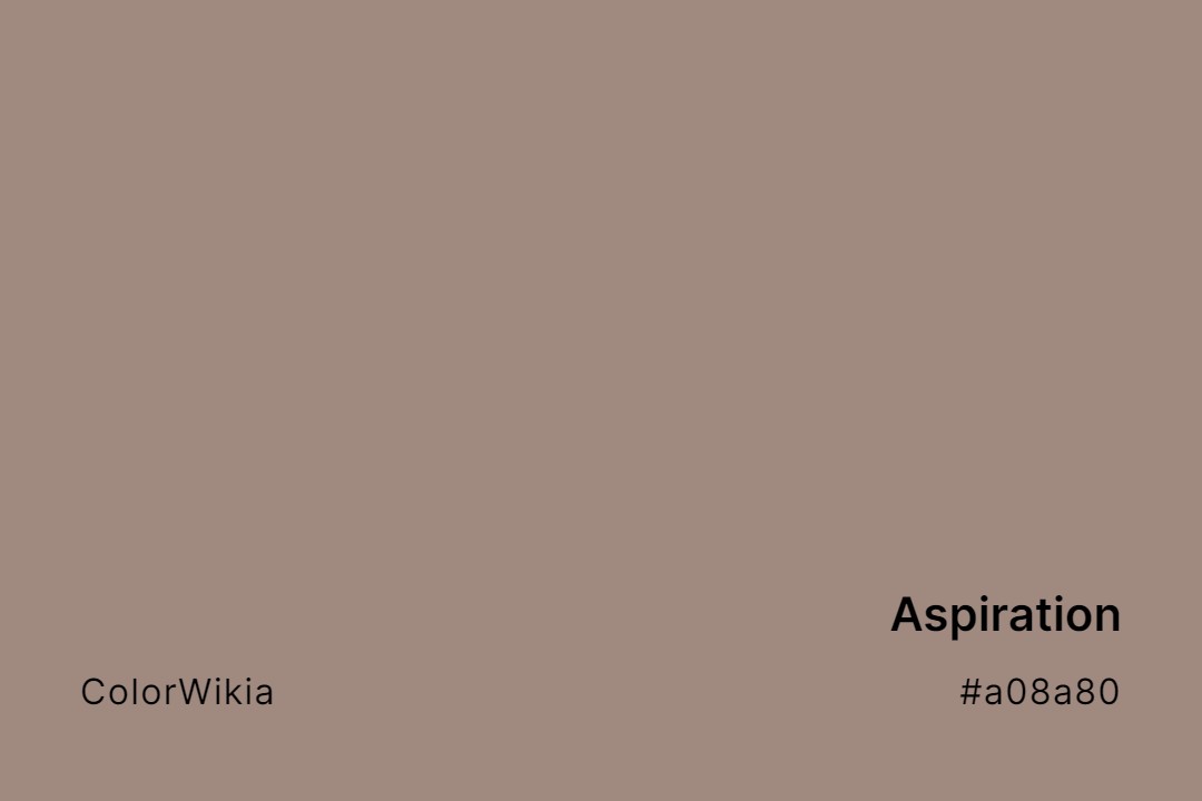 Aspiration Color – #a08a80: Codes and Complete Breakdown