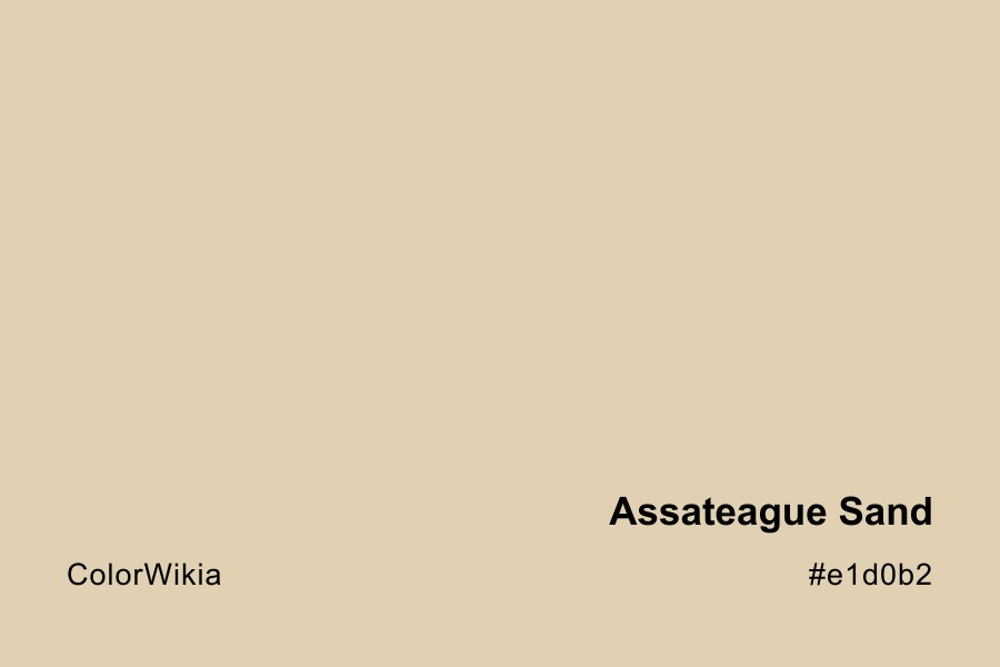 Assateague Sand Color – #e1d0b2: Codes and Complete Breakdown