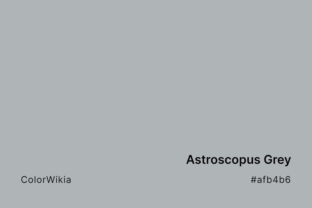 Astroscopus Grey Color – #afb4b6: Codes and Complete Breakdown