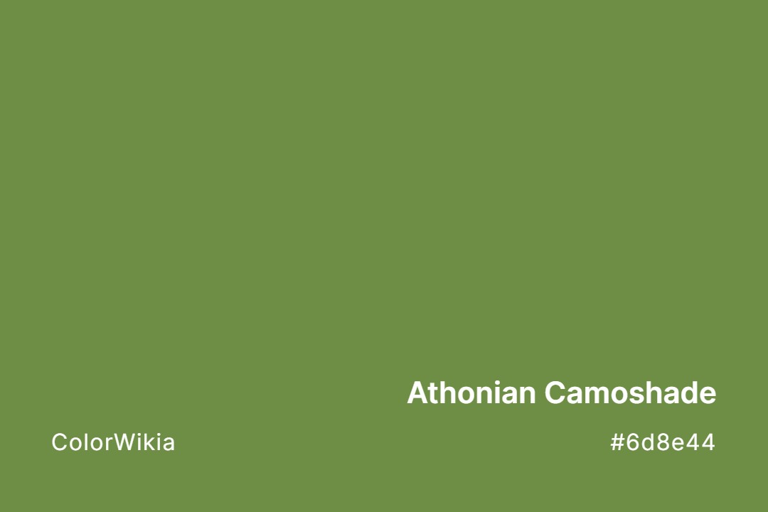 Athonian Camoshade Color – #6d8e44: Codes and Complete Breakdown