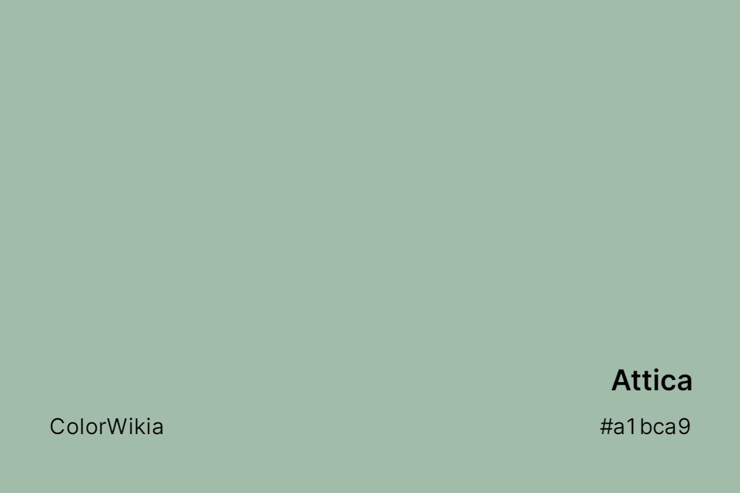 Attica Color – #a1bca9: Codes and Complete Breakdown