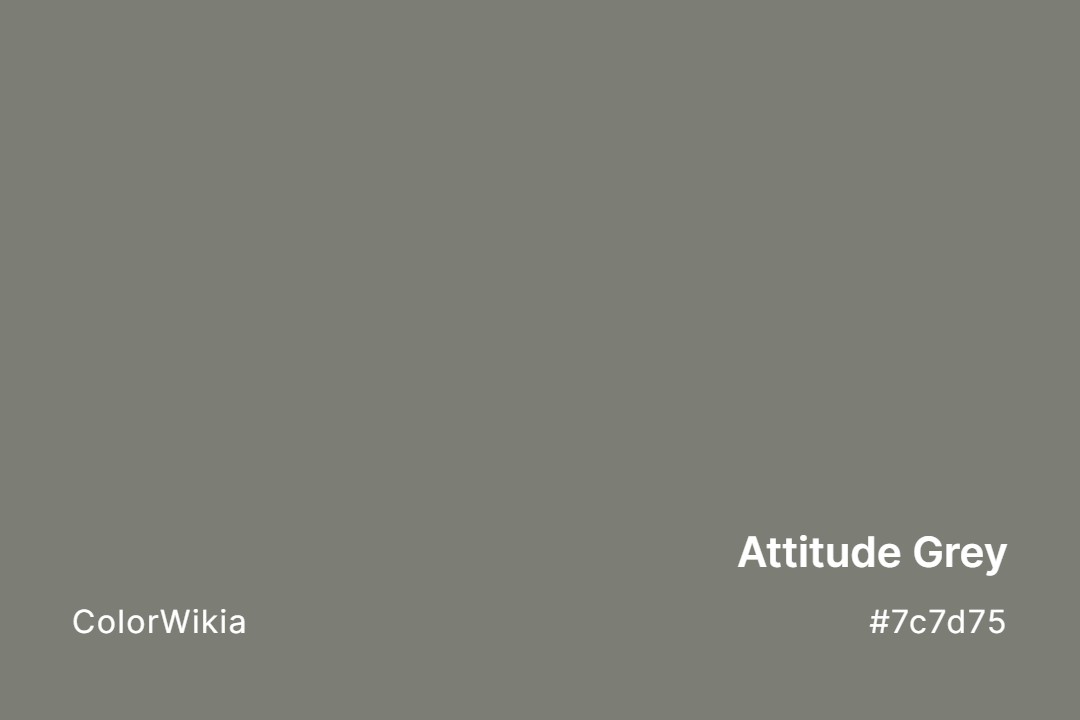 Attitude Grey Color – #7c7d75: Codes and Complete Breakdown