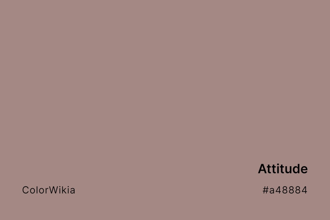 Attitude Color – #a48884: Codes and Complete Breakdown