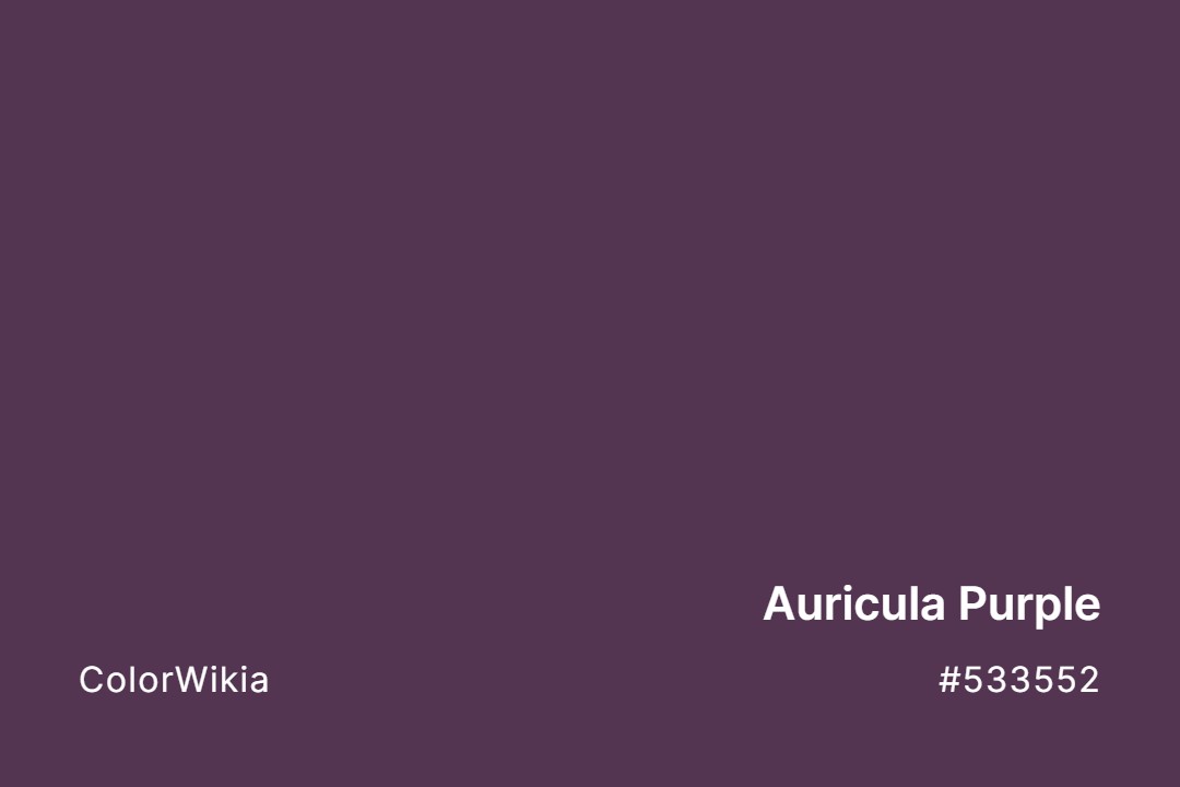 Auricula Purple Color – #533552: Codes and Complete Breakdown