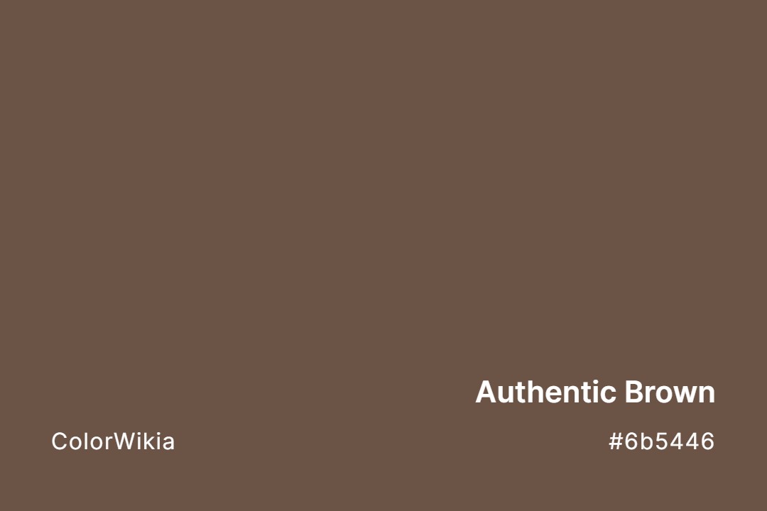 Authentic Brown Color – #6b5446: Codes and Complete Breakdown