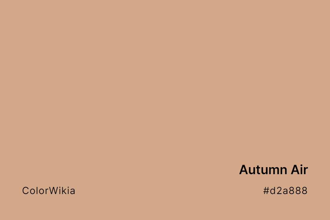 Autumn Air Color – #d2a888: Codes and Complete Breakdown