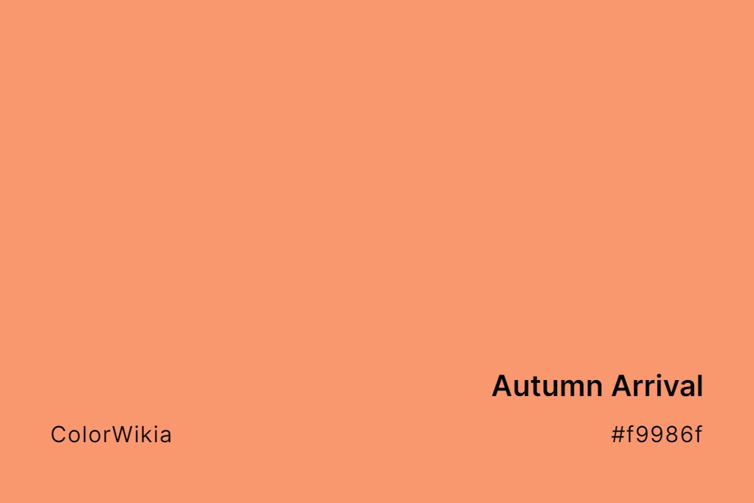 Autumn Arrival Color – #f9986f: Codes and Complete Breakdown