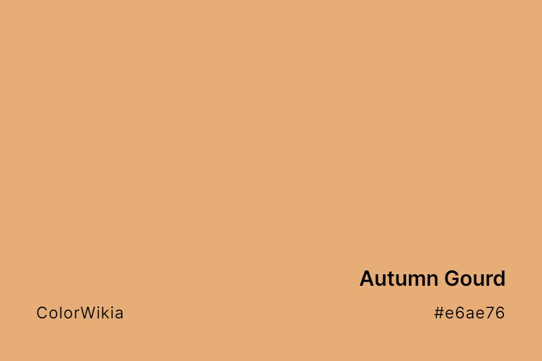 Autumn Gourd Color – #e6ae76: Codes and Complete Breakdown
