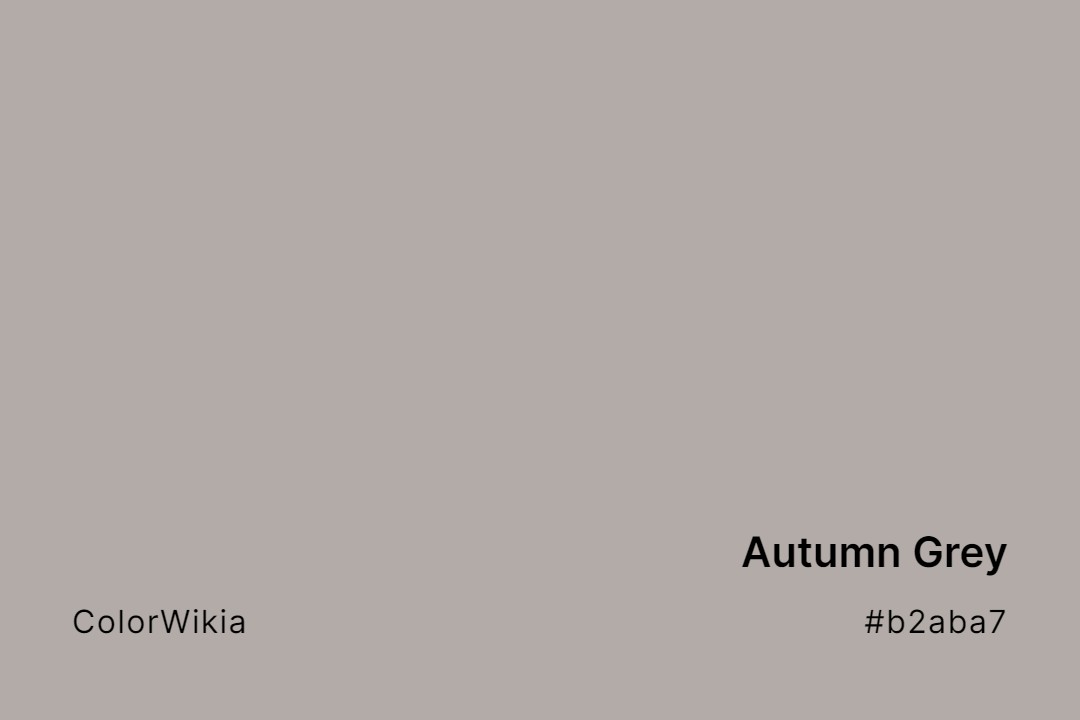 Autumn Grey Color – #b2aba7: Codes and Complete Breakdown