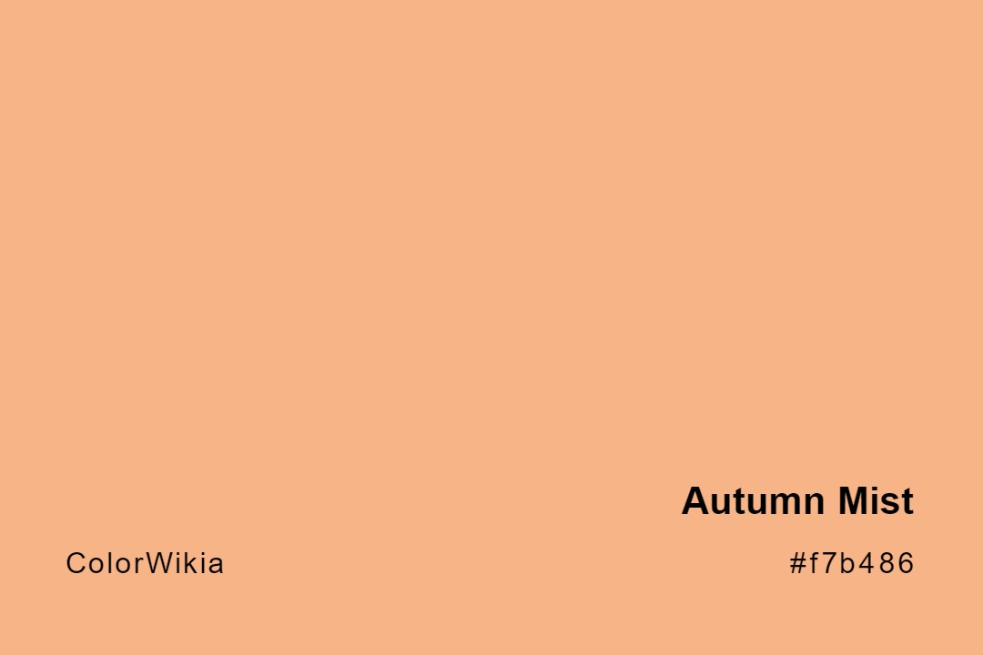 Autumn Mist Color – #f7b486: Codes and Complete Breakdown