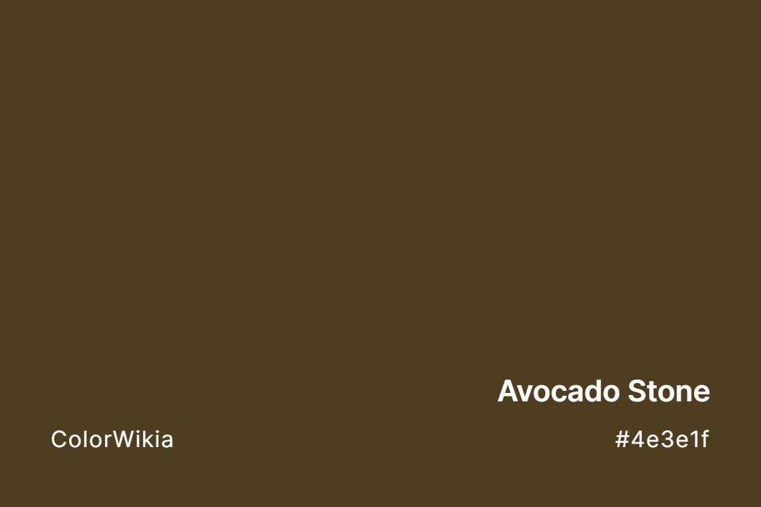 Avocado Stone Color – #4e3e1f: Codes and Complete Breakdown