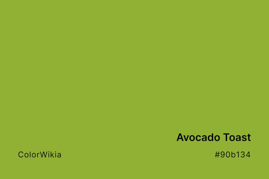 Avocado Toast Color – #90b134: Codes and Complete Breakdown