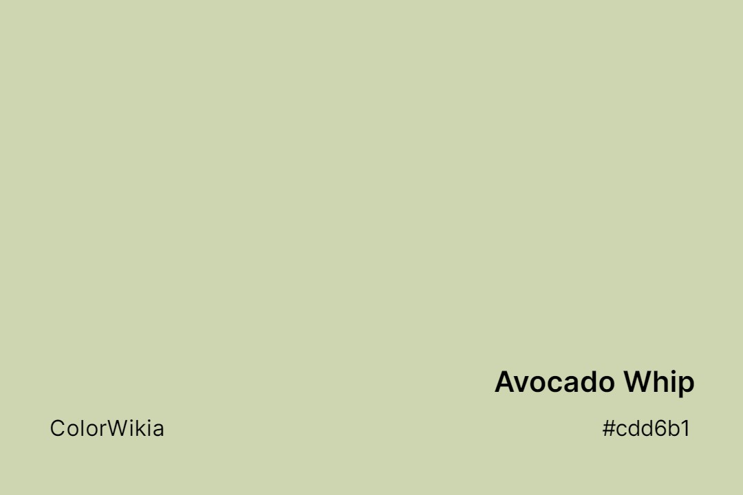 Avocado Whip Color – #cdd6b1: Codes and Complete Breakdown