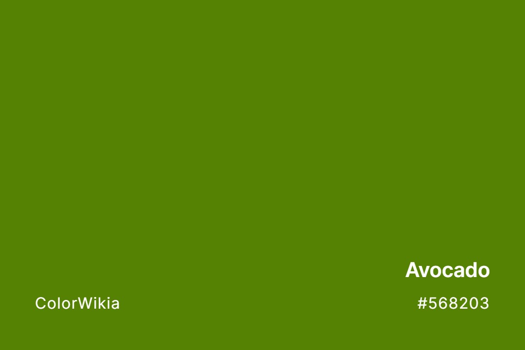 Avocado Color – #568203: Codes and Complete Breakdown