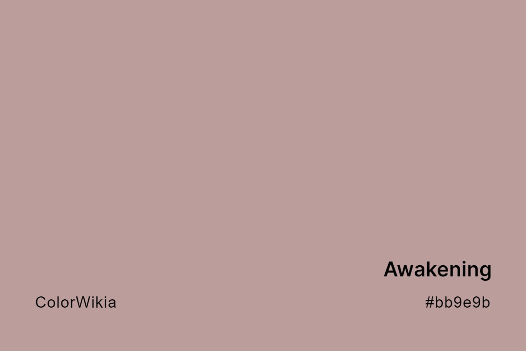 Awakening Color – #bb9e9b: Codes and Complete Breakdown