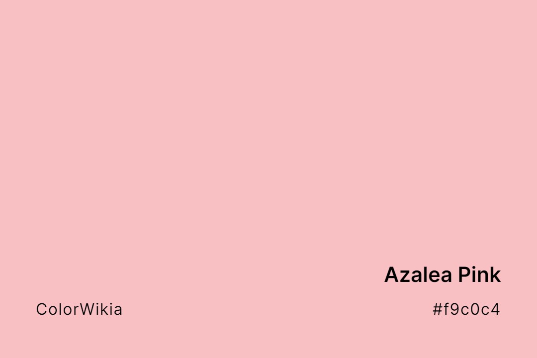 azalea pink color f9c0c4