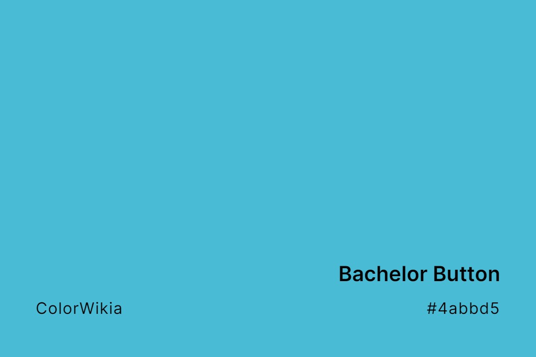 Bachelor Button Color – #4abbd5: Codes and Complete Breakdown