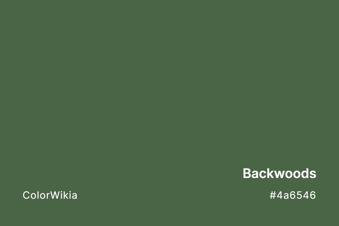 Backwoods Color – #4a6546: Codes and Complete Breakdown