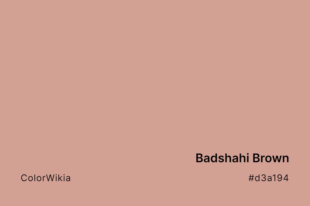 Badshahi Brown Color – #d3a194: Codes and Complete Breakdown