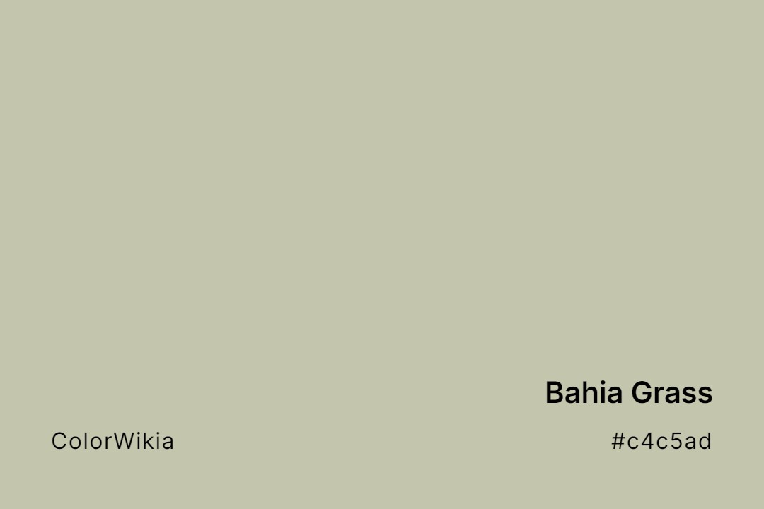 Bahia Grass Color – #c4c5ad: Codes and Complete Breakdown