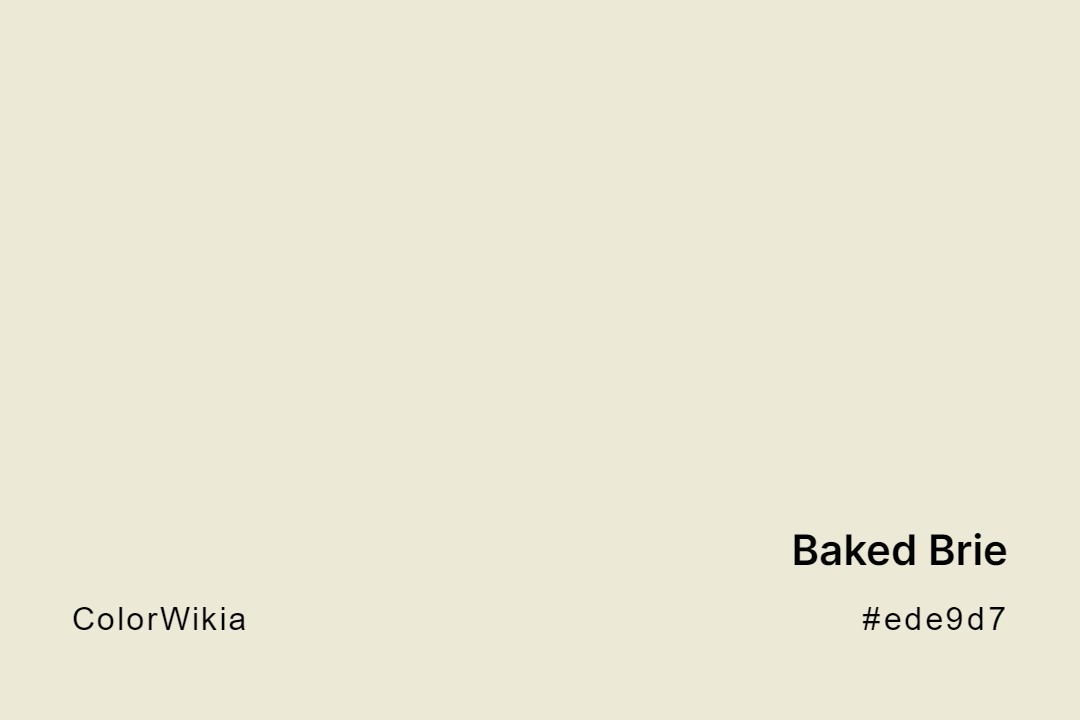 Baked Brie Color – #ede9d7: Codes and Complete Breakdown