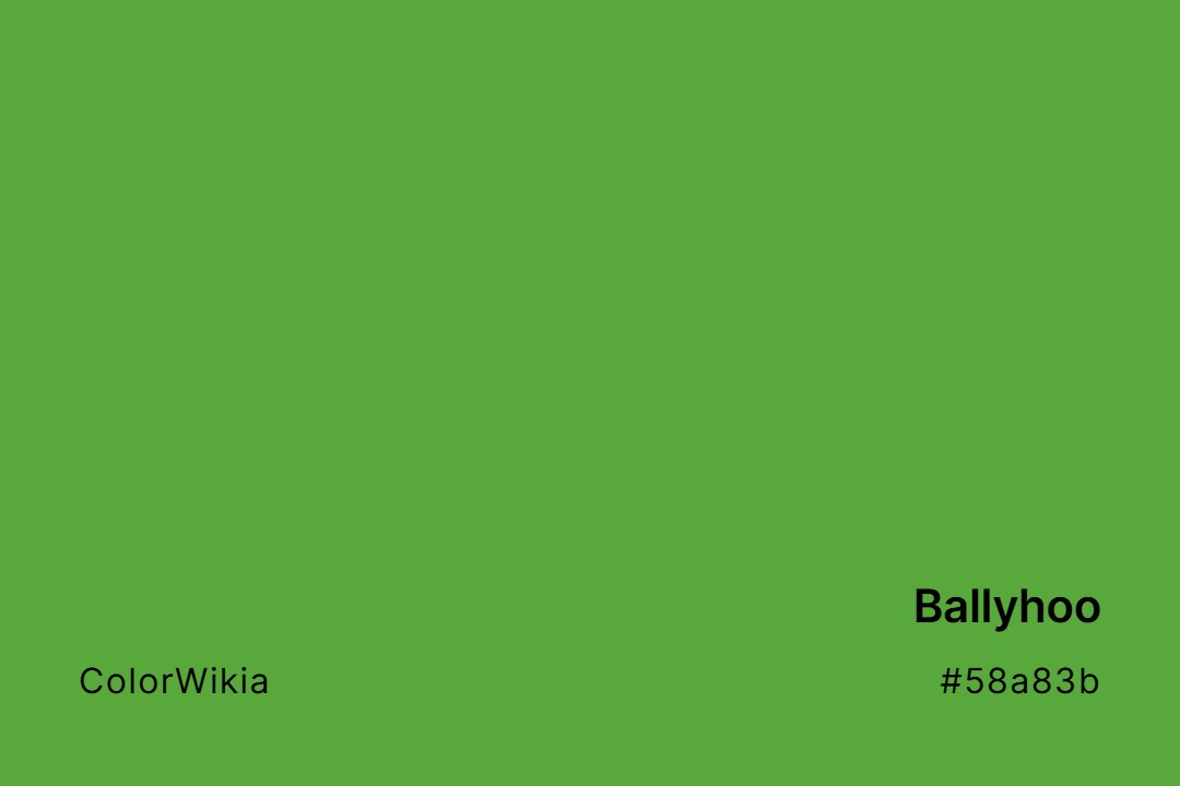 Ballyhoo Color – #58a83b: Codes and Complete Breakdown