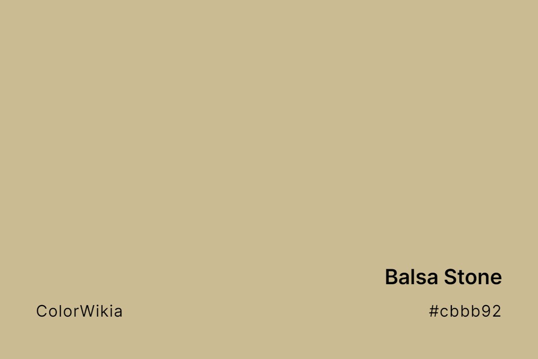 Balsa Stone Color – #cbbb92: Codes and Complete Breakdown