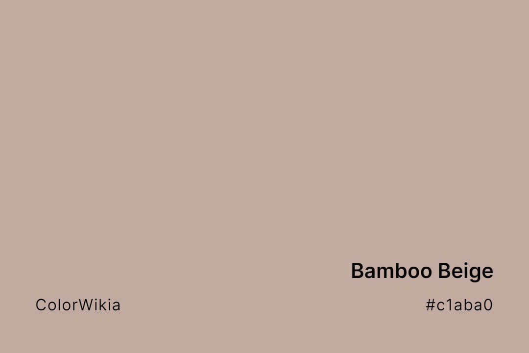 Bamboo Beige Color – #c1aba0: Codes and Complete Breakdown