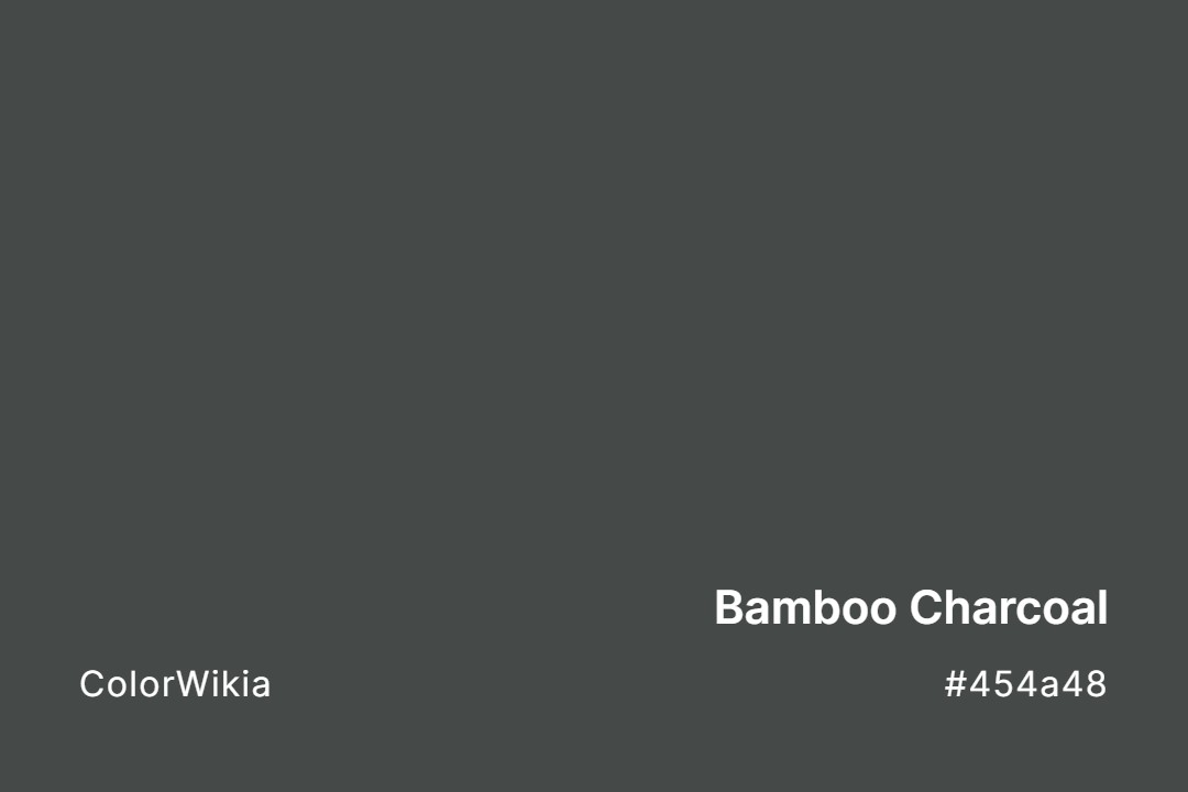 Bamboo Charcoal Color – #454a48: Codes and Complete Breakdown