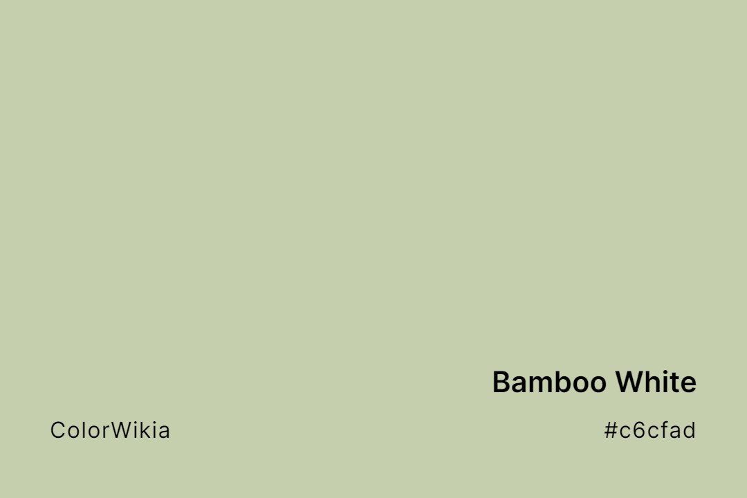 Bamboo White Color – #c6cfad: Codes and Complete Breakdown