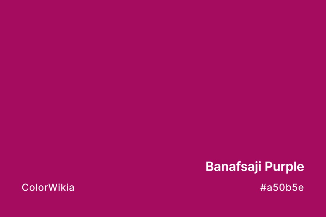 Banafsaji Purple Color – #a50b5e: Codes and Complete Breakdown
