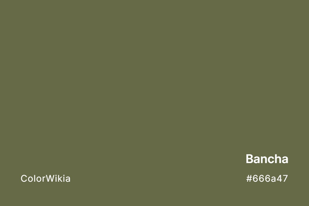 Bancha Color – #666a47: Codes and Complete Breakdown