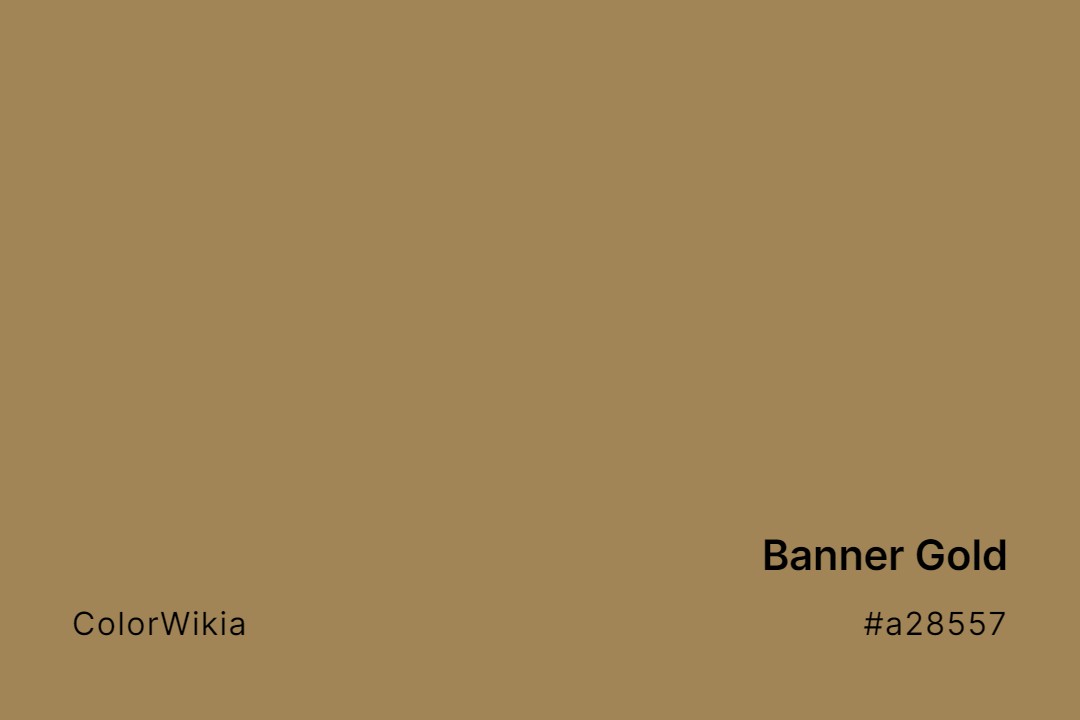 Banner Gold Color – #a28557: Codes and Complete Breakdown