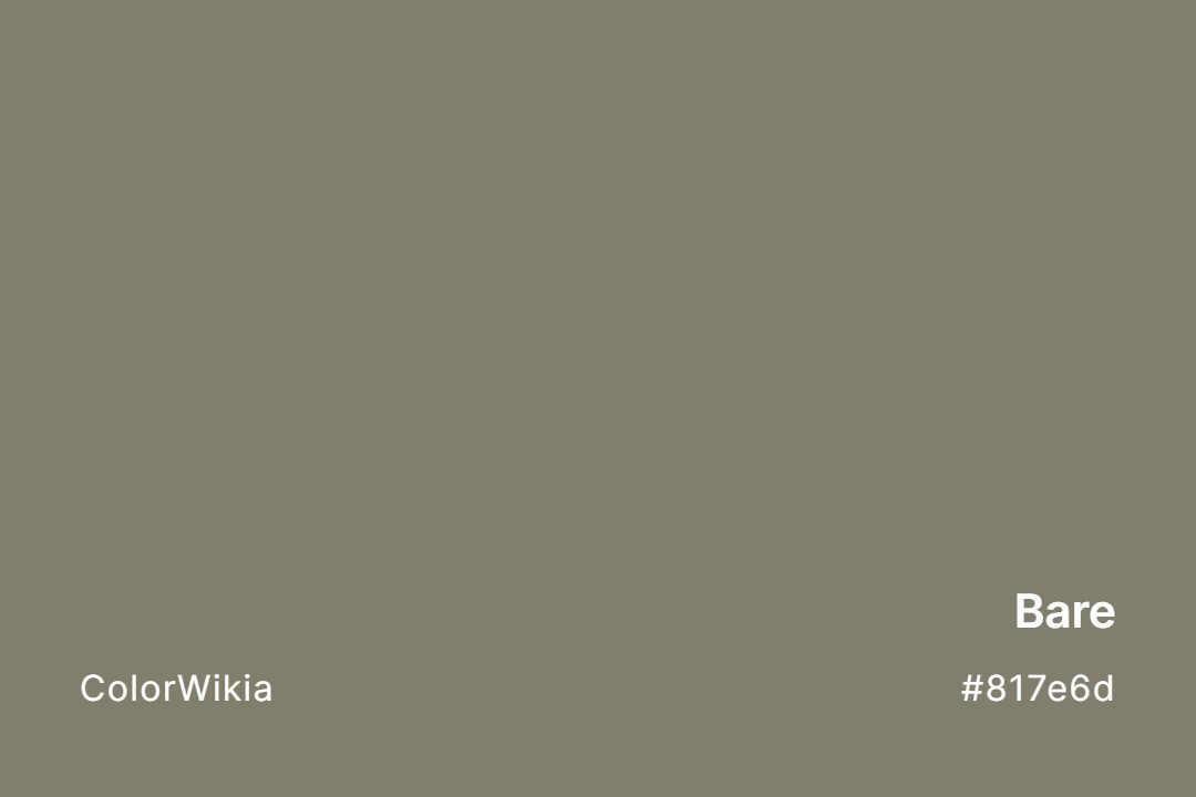 bare color 817e6d