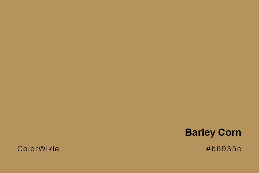 Barley Corn Color – #b6935c: Codes and Complete Breakdown