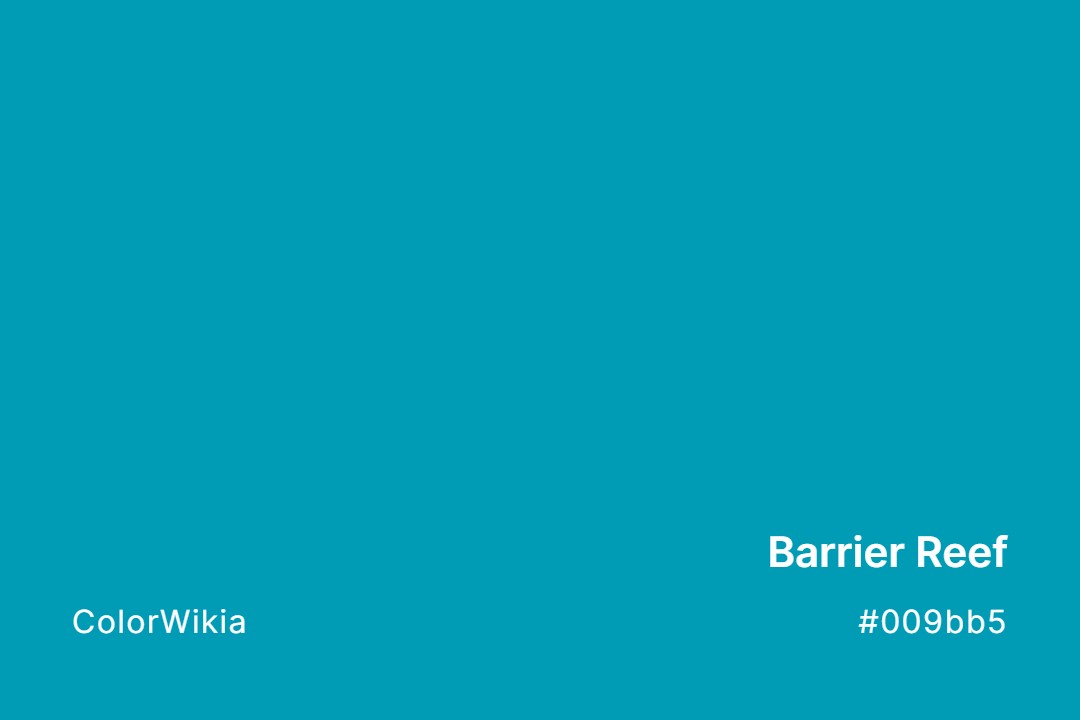 Barrier Reef Color – #009bb5: Codes and Complete Breakdown