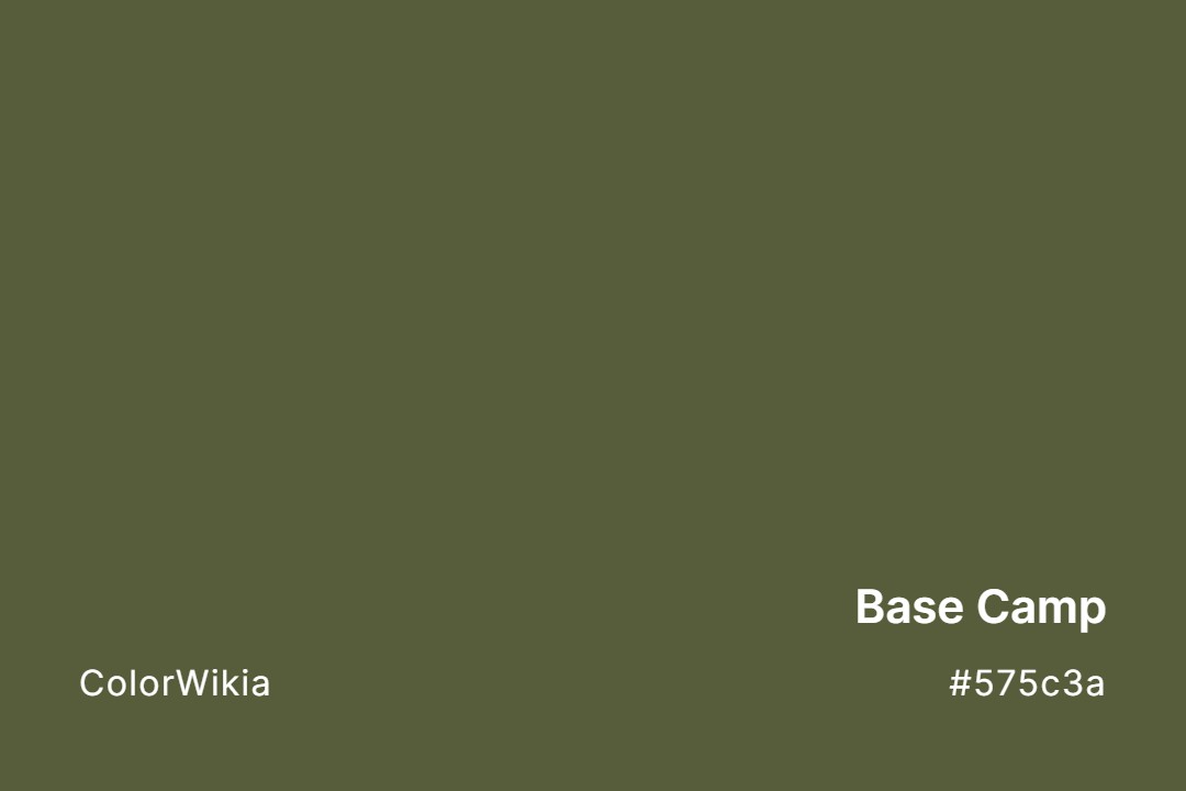 Base Camp Color – #575c3a: Codes and Complete Breakdown