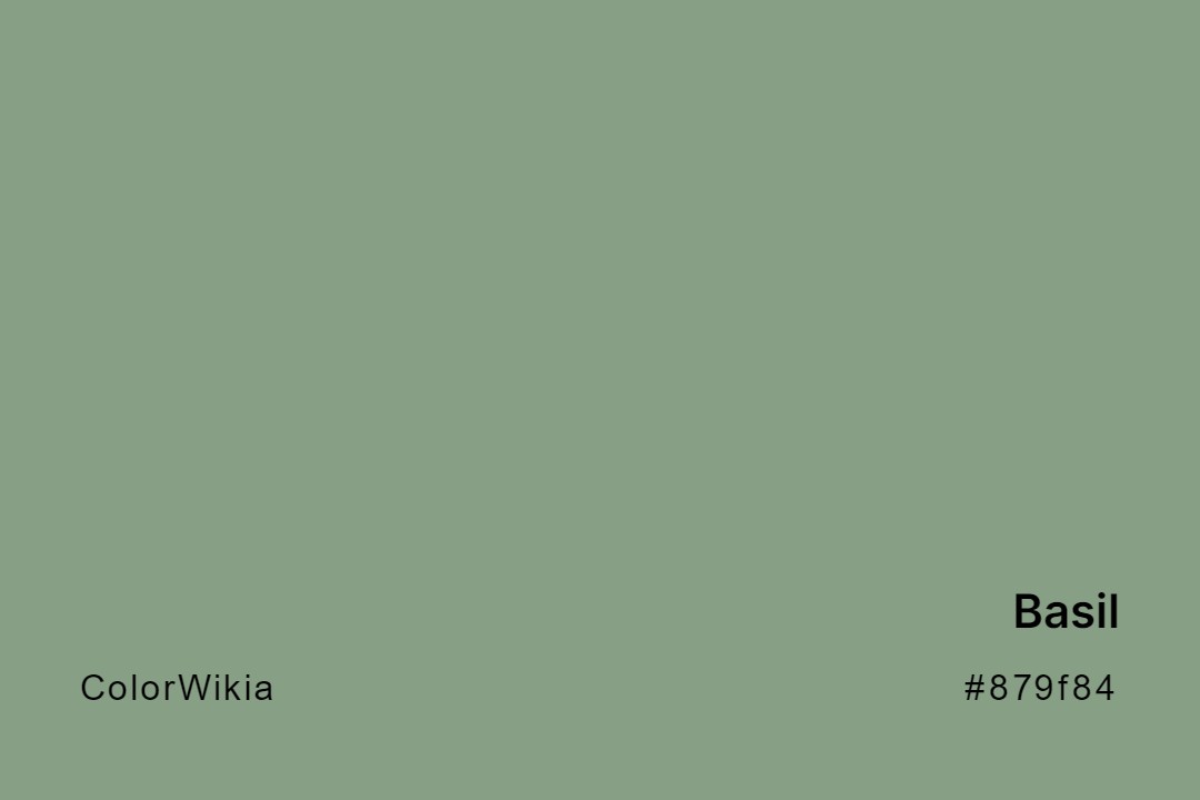 basil color 879f84