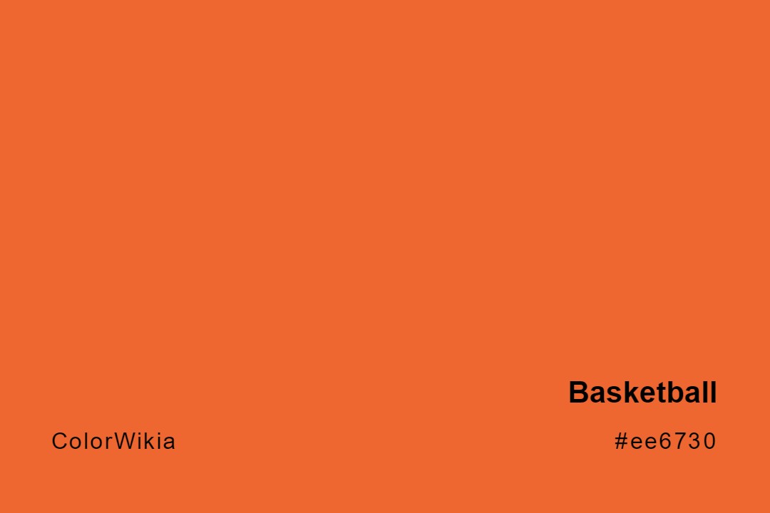 Basketball Color – #ee6730: Codes and Complete Breakdown