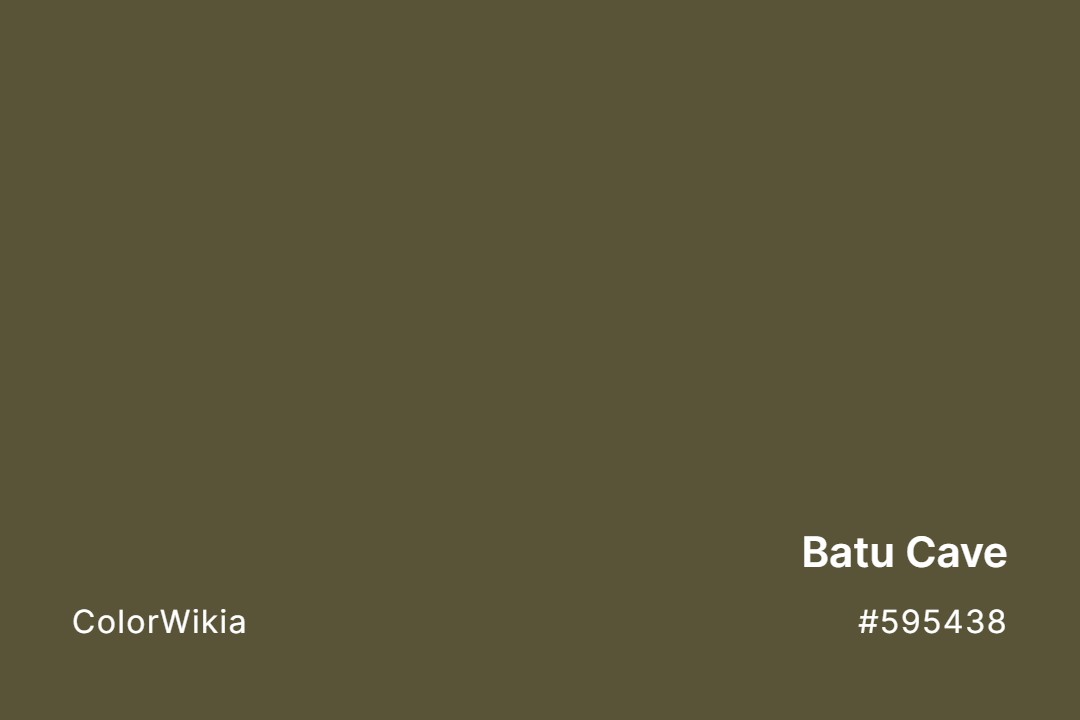 Batu Cave Color – #595438: Codes and Complete Breakdown