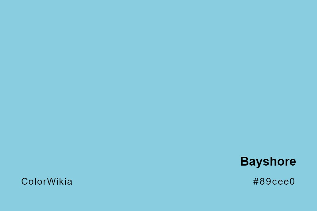 Bayshore Color – #89cee0: Codes and Complete Breakdown
