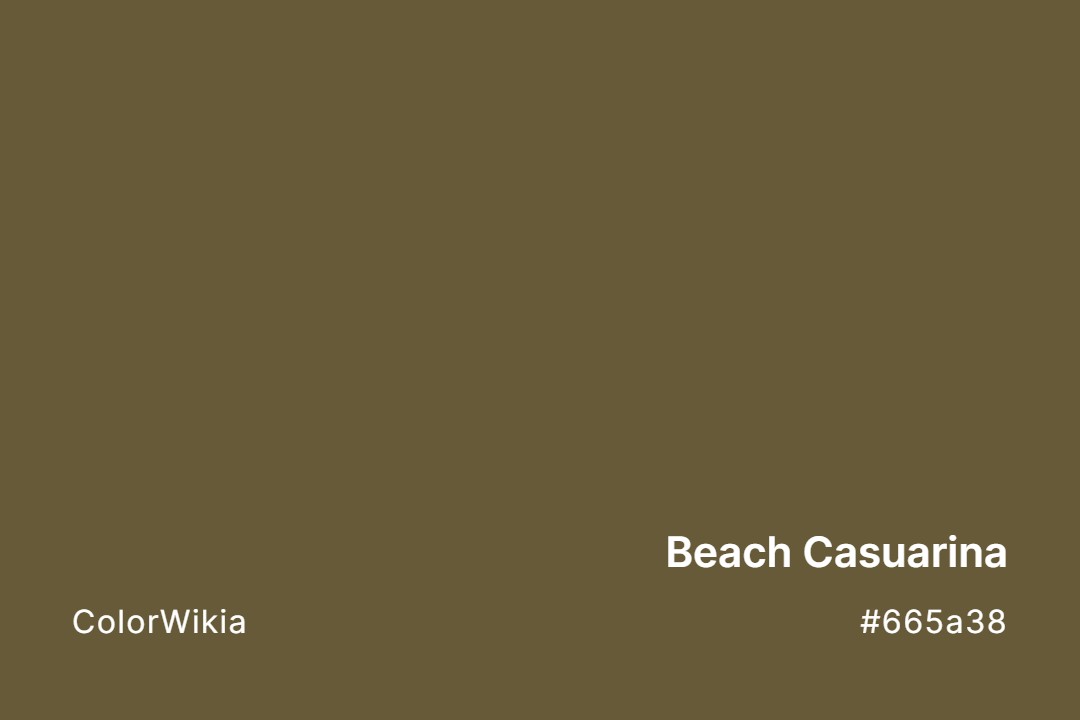 Beach Casuarina Color – #665a38: Codes and Complete Breakdown