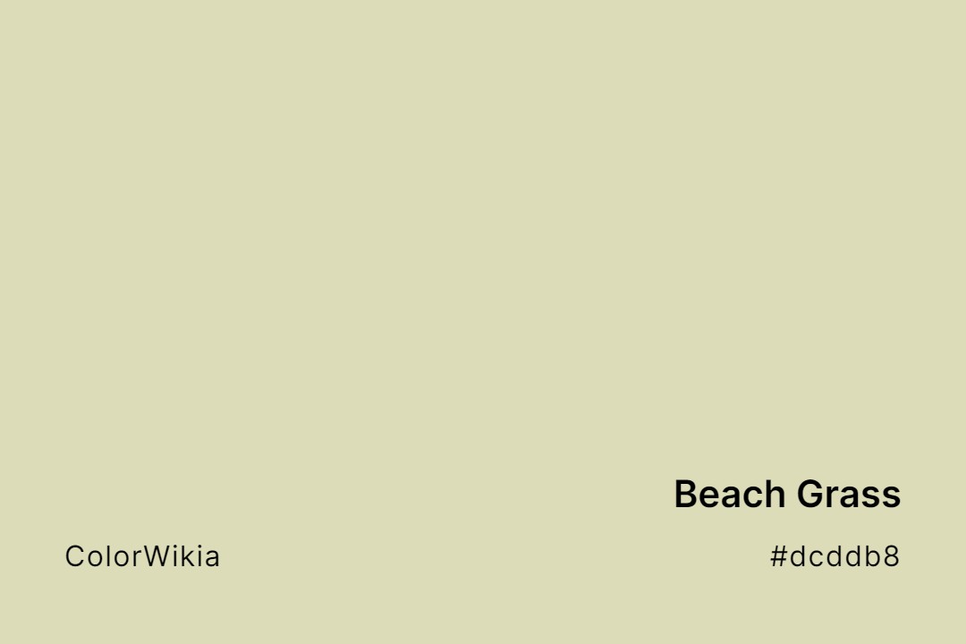Beach Grass Color – #dcddb8: Codes and Complete Breakdown