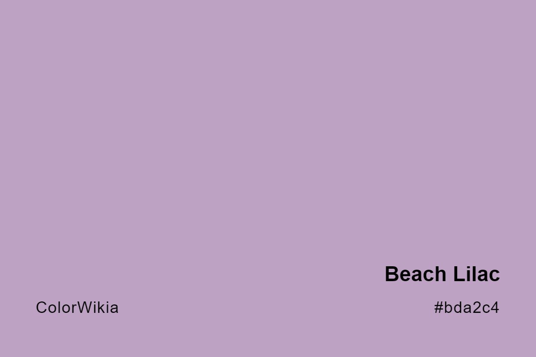 Beach Lilac Color – #bda2c4: Codes and Complete Breakdown