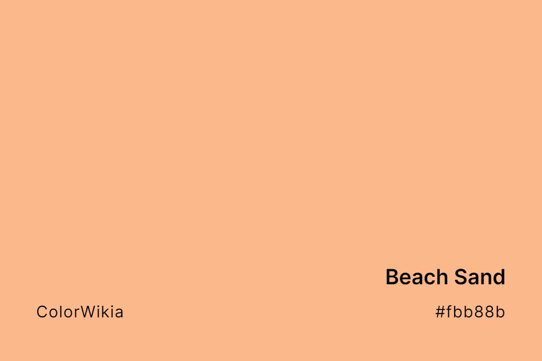 Beach Sand Color – #fbb88b: Codes and Complete Breakdown