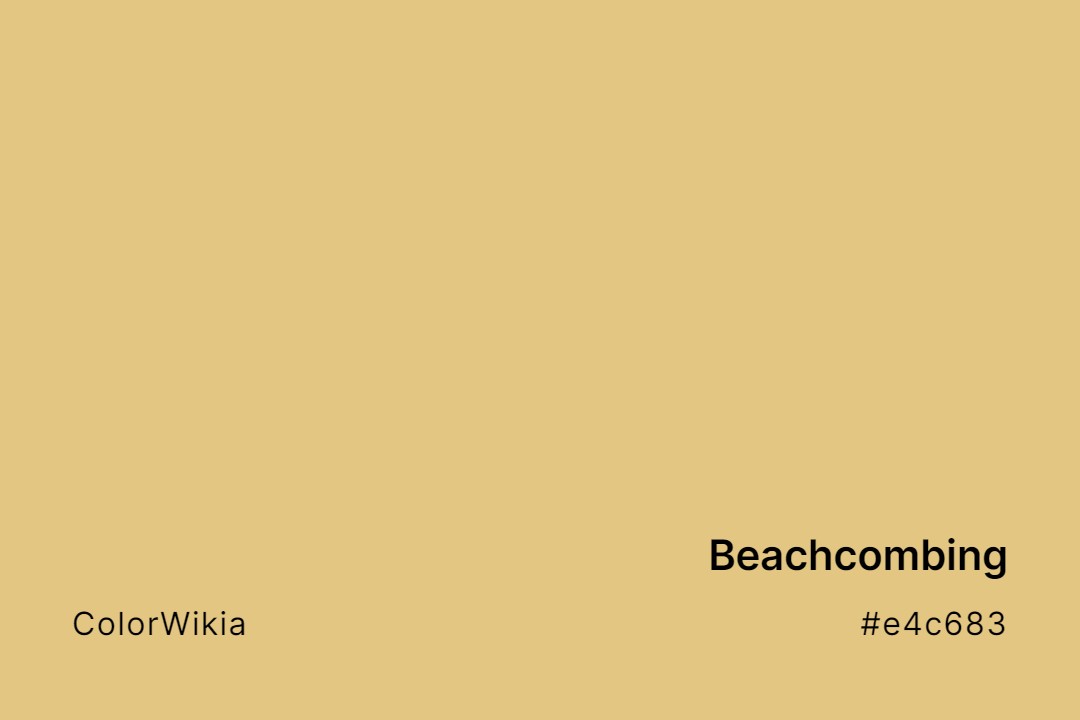 Beachcombing Color – #e4c683: Codes and Complete Breakdown